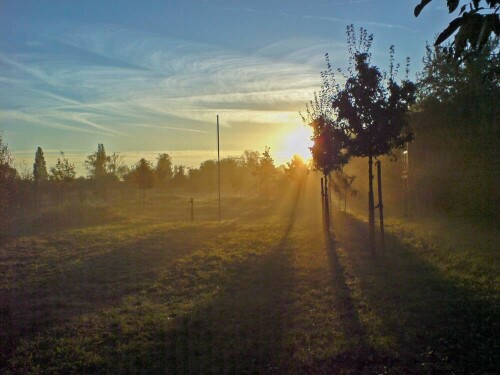 Morgensonne mit Nebel

Aufnameort: Grossniedesheim
Kamera: SONY HD