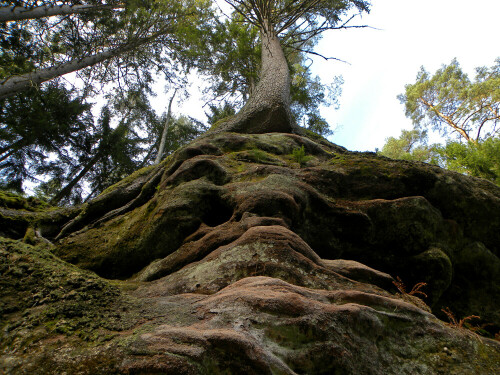 in-der-schwarzachklamm-5254.jpeg