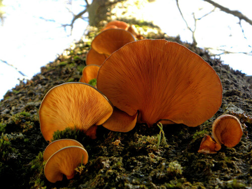 

Aufnameort: Weißmainfelsen im Fichtelgebirge
Kamera: Nikon Coolpix P 90