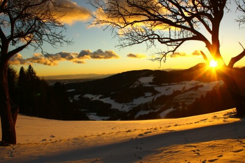 

Aufnameort: Weiz, Österreich
