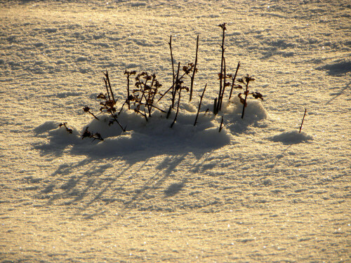 

Aufnameort: Weidenbach Mittelfranken
Kamera: Nikon Coolpix P 90