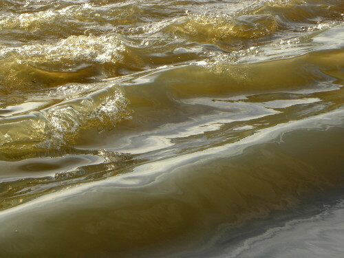 wellengang-der-altmuhl-bei-hochwasser-5466.jpeg