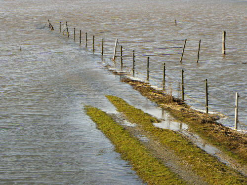 Hochwasser an der oberen Altmühl bei Aub/Großenried

Aufnameort: Aub/Großenried
Kamera: Nikon Coolpix P 90