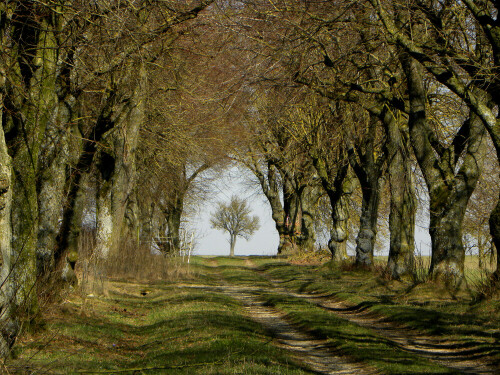 wandelhalle-der-natur-5761.jpeg