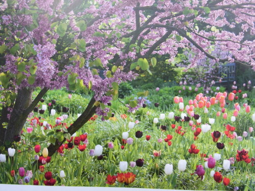 

Aufnameort: Botanischer Garten Hamburg Groß-Flottbek
Kamera: Ricoh 4