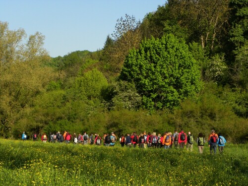 

Aufnameort: Steinbachtal bei Rothenburg ob der Tauber
Kamera: nikon coolpix p 90