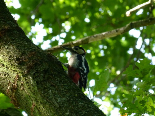 

Aufnameort: Schlosspark Herten
Kamera: Lumix FZ 100