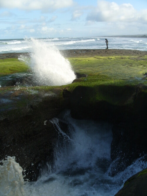 

Aufnameort: Neuseeland
