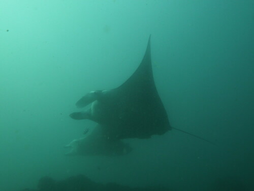 mantarochen-tofo-mozambique-6788.jpeg