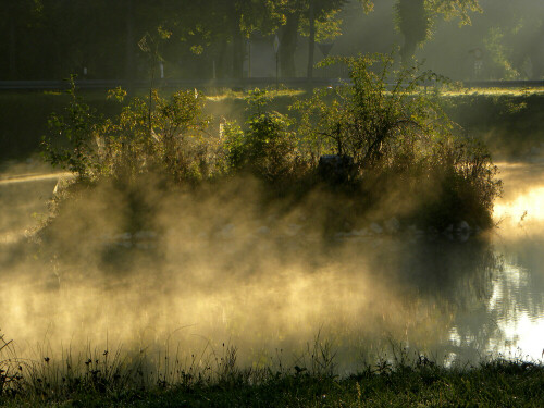 Insel im Triesdorfer Inselweiher im Oktober-Morgenlicht

Aufnameort: Triesdorf
Kamera: nikon coolpix p 90