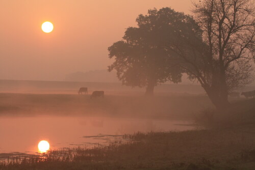 Sonnenaufgang an der Elbe bei Gorleben - ein Dorf das jeder kennt, aber auch seine wunderschöne Seite hat.

Aufnameort: Elbe bei Gorleben
Kamera: Canon 450D