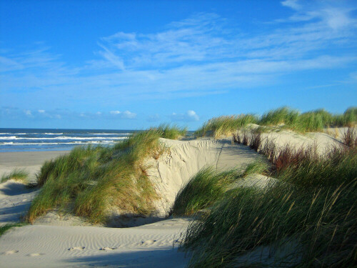 

Aufnameort: Langeoog
Kamera: Canon IXUS 55