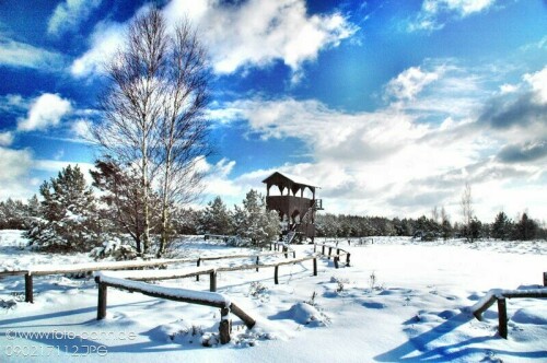 Aussichtsturm in der Henzendorfer Heide im Winter.

Aufnameort: bei Henzendorf
Kamera: Nikon D 90