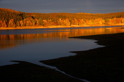 herbst-am-mohnesee-6550.jpeg