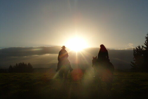 abendlicher Ritt bei Sonnenuntergang

Aufnameort: Taihape, Neuseeland
Kamera: Samsung Kenox S1050