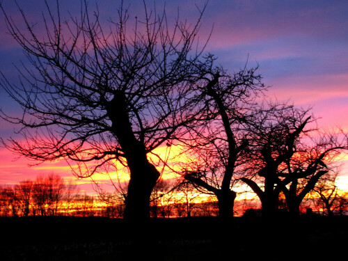 Die Streuobstwiese im Abendrot

Aufnameort: Weidenbach
Kamera: Panasonic Lumix FZ150