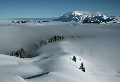 Aussicht über dem Nebelmeer auf den Säntis

Aufnameort: Tanzboden (Toggenburg, Schweiz)
Kamera: Canon D400