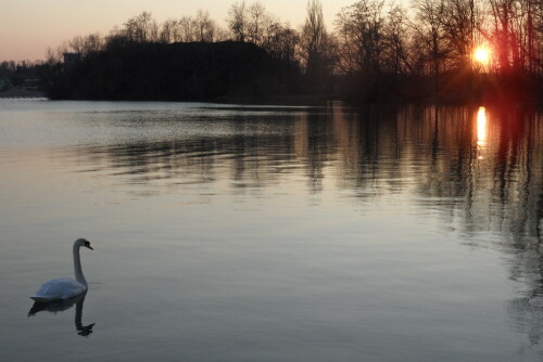 abendstimmung-am-baggersee-6937.jpeg