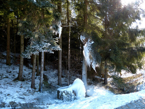 

Aufnameort: Bammersdorf
Kamera: Panasonic Lumix FZ150