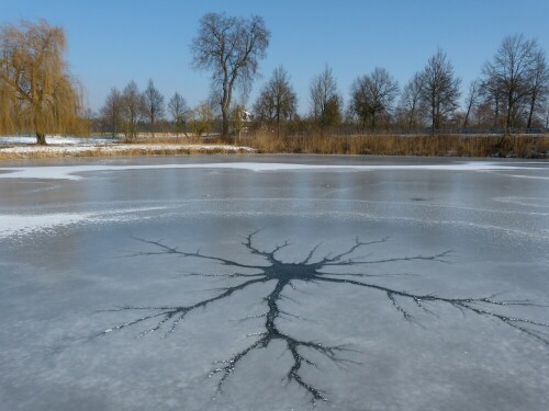 eisdendrit-im-inselweiher-triesdorf-6839.jpeg