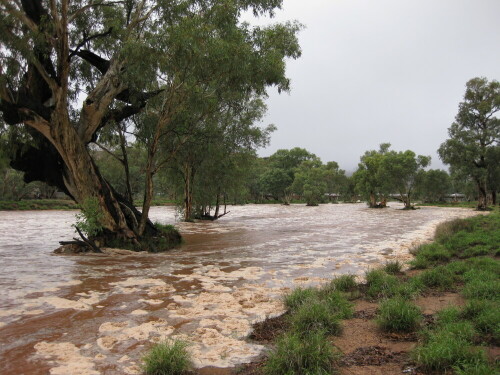 Wenn es in Alice Springs doch einmal regnet, kann das Wasser nicht schnell genug abfließen. Und die Wüste grünt.

Aufnameort: Alice Springs, Australien, 2012
