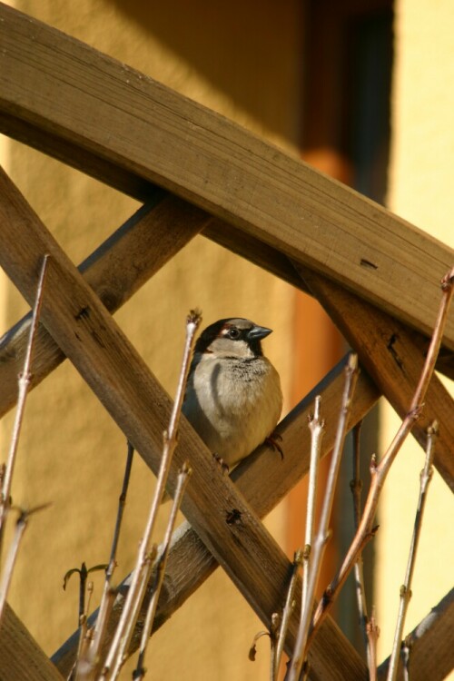 

Aufnameort: Schwerin
Kamera: Canon EOS 300 D