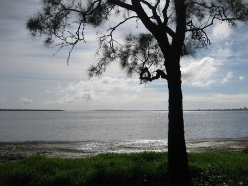 tuggerah-lake-7998.jpeg