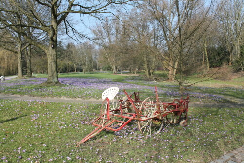 Die alte Landmaschine als Blickobjekt

Aufnameort: Bot.Garten, Hamburg
Kamera: Canon 1100D