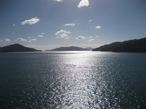 

Aufnameort: Marlborough Sounds, Neuseeland
