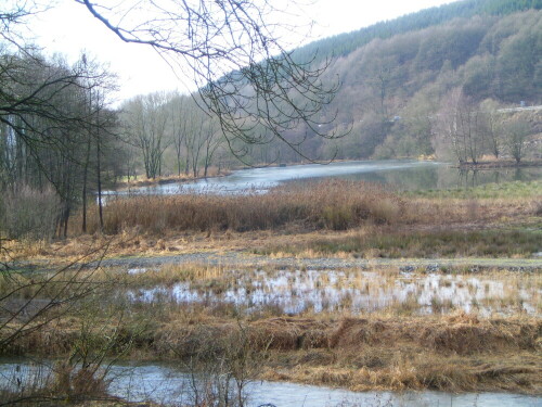 Ein Weiher in der Nähe von Eibelshausen

Aufnameort: Eschenburg
Kamera: Medion digitaler Full-HD-Camcorder mit Touchscreen