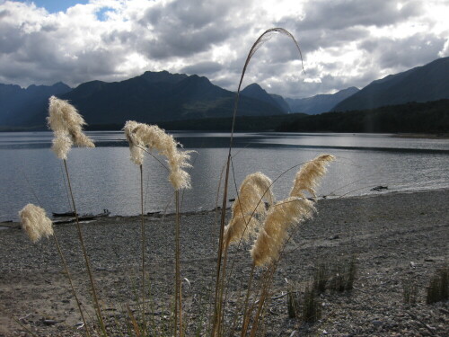 

Aufnameort: Te Anau, Neuseeland
