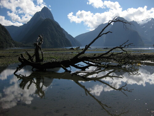 milford-sound-8006.jpeg