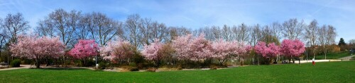 Panorama Bild von der Esslinger Burg im Frühling
diese Bild ist im Original auf ca. 4 mtr. Länge druckbar in 1a Qualität

Aufnameort: Esslingen Burg
Kamera: Fuji