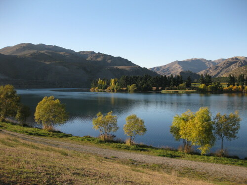 herbst-am-clutha-river-8012.jpeg