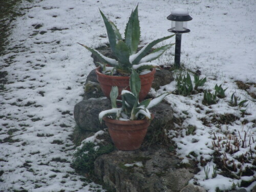 Aprilwetter

Aufnameort: Fichtelberg
Kamera: GE