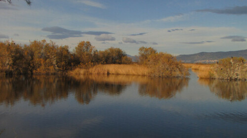 

Aufnameort: Naturpark Empuriabrava
Kamera: Canon Powershot SX1