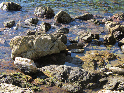 

Aufnameort: Cap Creus
Kamera: Canon Powershot SX1