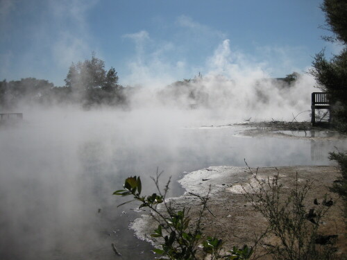 

Aufnameort: Rotorua, Neuseeland, 2012
