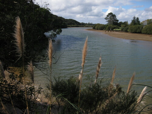 waitangi-river-8020.jpeg