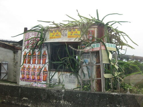 Pflanzen überwuchern einen ehemaligen Kiosk bei Pingdong
http://martin-ebner.net/topics/nature/geo-engineering/

Aufnameort: Pingdong, Taiwan
