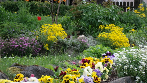 Ein Teil von meinem Garten.

Aufnameort: Fichtelberg
Kamera: GE