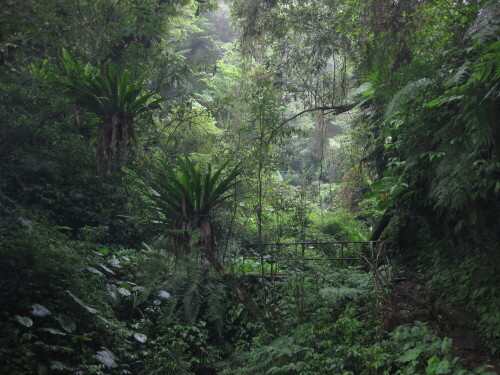 

Aufnameort: Taroko Nationalpark, Shakadang, Taiwan, 2012
