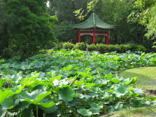 pavillon-im-botanischen-garten-taipei-8041.jpeg