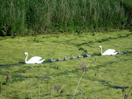 familienausflaug-zu-pfingsten-2012-7135.jpeg