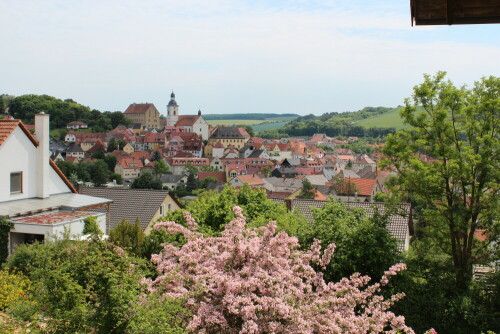 Stadtbild und Umgebung fügen sich miteinander harmonierend zusammen.

Aufnameort: Arnstein, Garten, 27.05.2012
Kamera: Canon EOS 600D 1/200; 11,0; 29,0mm; ISO 100