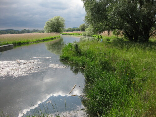 Naturschutzgebiet Radolfzeller Aach
http://martin-ebner.net/topics/nature/landschaftszerschneidung/

Aufnameort: Radolfzell, 2012
