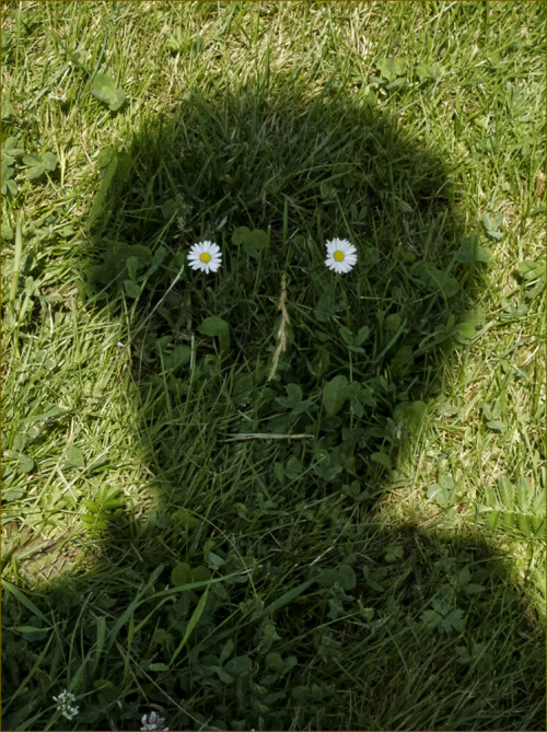 darf-ich-vorstellen-mein-schatten-7172.jpeg