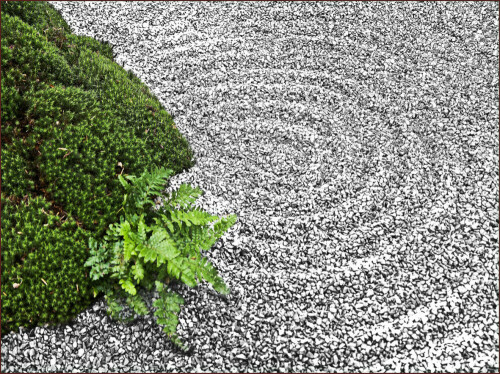 ein-kleines-stuckchen-zen-garten-7177.jpeg