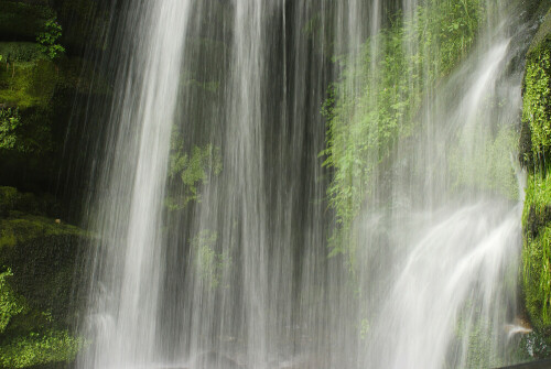 Mir gefiel das schöne saftige Grün und das "Schleierhafte" an dem Wasserfall. Es wirkt auf mich ein wenig geheimnisvoll.

Aufnameort: Sächsische Schweiz
Kamera: Sony Alpha 200