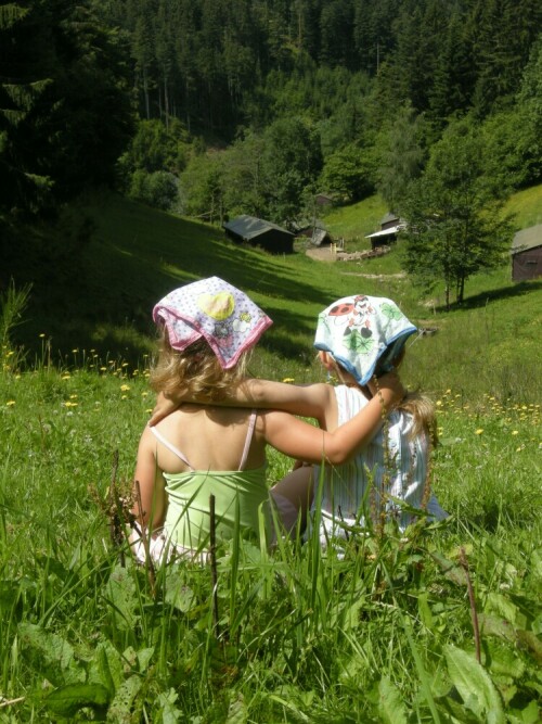 

Aufnameort: Untertal bei Triberg im Schwarzwald
Kamera: Nikon Coolpix 5100